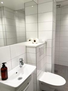 穆尔舍Mullsjö Hotell & Konferens的一间带水槽、卫生间和镜子的浴室
