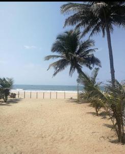 戈卡尔纳Coco Beach Gokarna的两棵棕榈树和大海的海滩