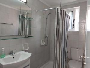克雷马斯蒂亚历克西娅公寓&一室公寓套房酒店的带淋浴、盥洗盆和卫生间的浴室