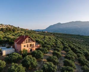 Áyios MíronMyron Olive Villa Retreat的山丘上房屋的空中景致