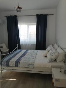 BasarabiTina Guest House的一间卧室配有一张带蓝色窗帘的床和一扇窗户