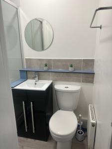 巴尔内特High Barnet Studio Flat的一间带卫生间、水槽和镜子的浴室