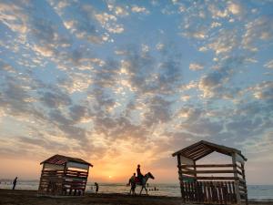 苏姆盖特Caspian Seaside Villa的日落时在海滩上骑马的人