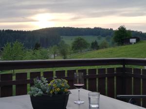Ferienwohnung Traumblick的一张桌子,上面放着一杯葡萄酒和一株植物