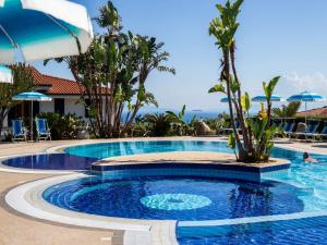里卡迪Nice residence in San Nicol di Ricadi with pool的棕榈树度假村的游泳池