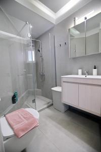 纳夫普利翁Ioanna's Luxury Two Bedroom Apartment的带淋浴、卫生间和盥洗盆的浴室