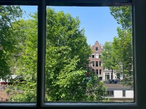 阿姆斯特丹阿姆斯特丹王子酒店的享有树木和建筑景致的窗户