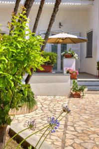 卡普里Villa Giardini Luxury Room的一个带盆栽和雨伞的庭院