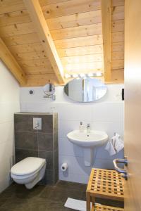 Ruffey-lès-Échirey地球的灵魂酒店的一间带卫生间和水槽的浴室