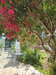 比奥格勒·纳·莫鲁Casa Blanca, Biograd na Moru的树下摆放着粉红色花朵的桌椅