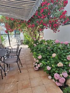 比奥格勒·纳·莫鲁Casa Blanca, Biograd na Moru的庭院配有桌椅和粉红色的鲜花