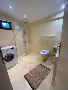 阿利基Dream house Villa的一间带洗衣机和卫生间的浴室
