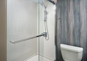 诺克斯维尔诺克斯维尔市中心世博会公园假日酒店的一间带卫生间和玻璃淋浴间的浴室