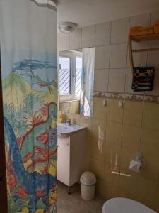 库雷萨雷帕尔纳旅馆&公寓的一间带水槽和淋浴帘的浴室