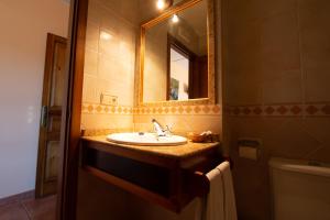 Dehesa提龙体拉那酒店的一间带水槽和镜子的浴室