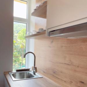 洛夫兰Deluxe Kvarner 2的带水槽的厨房台面和窗户