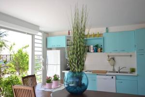 圣安尼Unique : Pieds dans l'eau face au lagon的厨房配有带大蓝色花瓶的桌子和植物