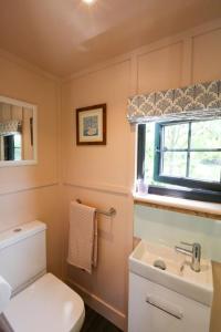 Long BredyLapin Cottage的一间带卫生间、水槽和窗户的浴室