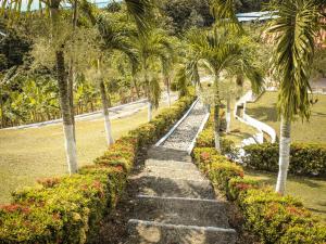 TurboCABAÑA Y RESTAURANTE CAMPESTRE EL MIRADOR COSTEÑO的花园,有楼梯,棕榈树和鲜花