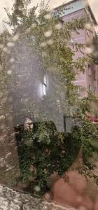 地拉那Heart of Tirana Apartment的倒影在一座有窗和树的建筑中