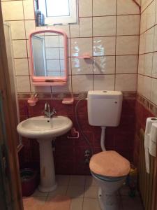 DüzköyUZUNALİ DAĞ EVİ的一间带水槽、卫生间和镜子的浴室