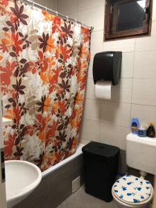 普里什蒂纳House For Rent的浴室设有淋浴帘、卫生间和水槽