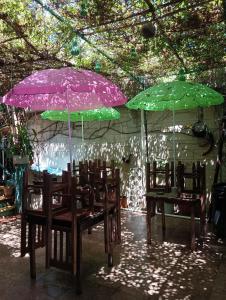 普拉亚卡门Alojamiento Ya'ax Nah的两把伞放在桌子上,椅子在桌子下面