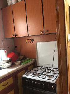 DüzköyUZUNALİ DAĞ EVİ的厨房配有炉灶和木制橱柜。