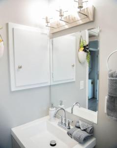 奥马哈1 Bedroom Stylish Oasis的一间带水槽和镜子的浴室