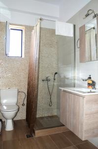 基利尼Α & D Perikleous Apartments的带淋浴、卫生间和盥洗盆的浴室