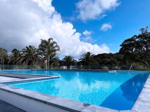 派西亚Haruru Falls Motel & Conference Centre的一个种有树木的大型蓝色游泳池