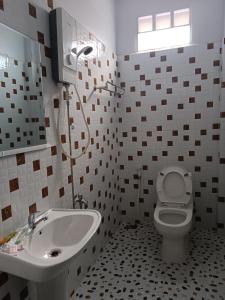 贡布Orchid 101的一间带卫生间和水槽的浴室