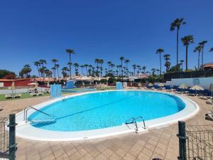 马斯帕洛马斯Chalet Luxury with privacy and Jacuzzi的棕榈树度假村内的大型游泳池