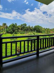 BalianBalian One的阳台享有绿色田野的景色。