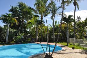 圣吉尔莱班La Perle du Sable Blanc的庭院内棕榈树游泳池