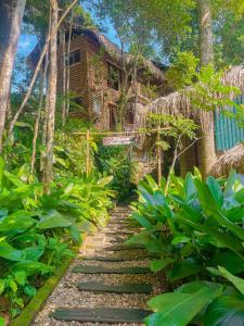 Pu LuongPu Luong Jungle Lodge的通往丛林中房屋的路径