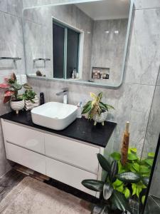 奥克兰Bed & Breakfast @ Unsworth Heights Albany的浴室设有水槽、镜子和植物