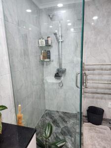 奥克兰Bed & Breakfast @ Unsworth Heights Albany的浴室里设有玻璃门淋浴
