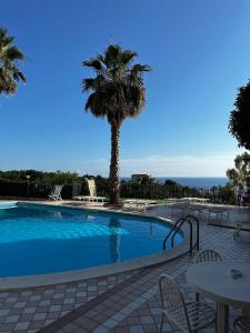 贝尔韦代雷Przytulny apartament w Belvedere Marittimo的一个带棕榈树和桌子的游泳池