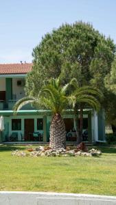 沃尔沃罗亚历山德罗公寓式酒店的两棵棕榈树,在房子前面的院子