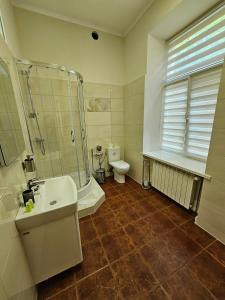 切尔诺夫策Coin Apartments & Poshtel的带淋浴、盥洗盆和卫生间的浴室