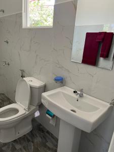 波隆纳鲁沃Nature Resort的白色的浴室设有卫生间和水槽。