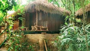 ThirunelliKOOMANKOLLY RESORT的丛林中带茅草屋顶的房子