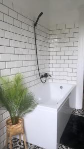 德布勒森Modern új lakás a belvárosban的浴室设有白色浴缸和盆栽植物