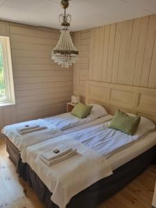 EmmabodaÖdevata Gårdshotell的卧室设有2张床和吊灯。