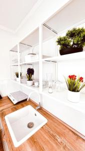 NivyModerný apartman s parkovaním的白色的浴室设有水槽和架子上的植物