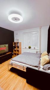 NivyModerný apartman s parkovaním的一间卧室配有一张床和一台电视