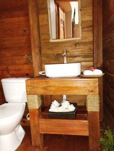 BaorucoECOVILLA CORAL GARDEN的一间带水槽和卫生间的浴室