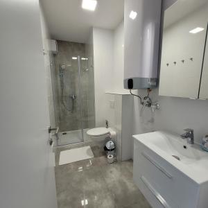 福纽德Szabadszél Apartmanok的带淋浴、卫生间和盥洗盆的浴室