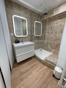 里耶Duplex sous les toits的一间带水槽、淋浴和镜子的浴室